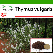 SAFLAX - Vanlig timjan - 200 frön - Med kruksubstrat för bättre odling - Thymus vulgaris