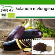 SAFLAX - Ekologisk - Aubergine - Lång lila - 20 frön - Med kruksubstrat för bättre odling - Solanum melongena