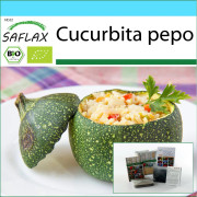 SAFLAX - Presentset - Ekologisk - Zucchini - Tondo di Nizza - 5 frön - Med presentask, kort, etikett och kruksubstrat - Cucurbita pepo