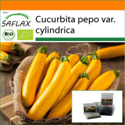 SAFLAX - Garden in the Bag - Ekologisk - Zucchini - Gold Rush - 5 frön - Med substrat i en passande ståpåse - Cucurbita pepo