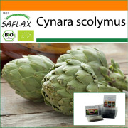 SAFLAX - Garden in the Bag - Ekologisk - Kronärtskocka - Imperial Star - 5 frön - Med substrat i en passande ståpåse - Cynara scolymus