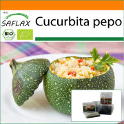 SAFLAX - Garden in the Bag - Ekologisk - Zucchini - Tondo di Nizza - 5 frön - Med substrat i en passande ståpåse - Cucurbita pepo