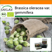 SAFLAX - Garden in the Bag - Ekologisk - Brysselkål - Groninger - 30 frön - Med substrat i en passande ståpåse - Brassica oleracea