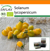 SAFLAX - Trädgård i påsen - Ekologisk - Tomat - Gul ubåt - 10 frön - Med substrat i en passande ståpåse - Solanum lycopersicum