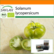 SAFLAX - Garden in the Bag - Ekologisk - Tomat - Green Zebra - 10 frön - Med substrat i en passande ståpåse - Solanum lycopersicum