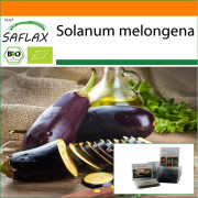 SAFLAX - Trädgård i påsen - Ekologisk - Aubergine - Lång lila - 20 frön - Med substrat i en passande ståpåse - Solanum melongena