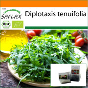 SAFLAX - Garden in the Bag - Ekologisk - Wild Rocket - 1500 frön - Med substrat i en passande ståpåse - Diplotaxis tenuifolia