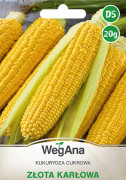 Sockermajs Złota Karłowa 20g majsfrön - WegAna