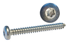 Skruv Cylinderhuvud 4,8 x 50 a4 Torx-spår ISO14585 100st.
