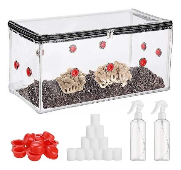 Svamp Monotub Kit Hem Svampodlingskit Svamptält Spara Dina Mykologi Svampodlingspåsar