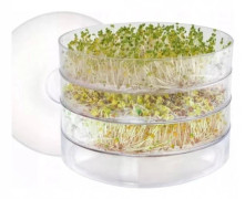 Groddboxar 3-pack
