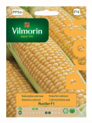 Sockermajs Rustler F1 frön 5g - VILMORIN