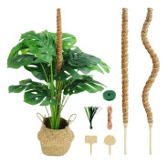 4-pack Trädgårdspinnar för Monstera deliciosa, Växtstöd, Böjbara Formbara Mossapinnar, Pothos och Klätterväxter