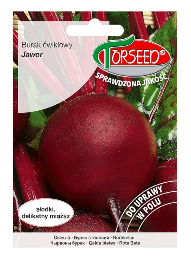Rödbetsfrön Sycamore 10g
