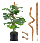 Mossstänger 122 cm/63 cm (25 tum/48 tum), 2 st Böjbara Mossstänger Utomhus Inomhus Klätterväxtstöd