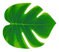 4 gröna tropiska blad 21 x 18 cm. Size-Standard