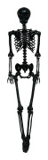 Skelett Svart Prop - 160 cm