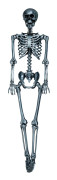 Skelett Silver Prop - 90 cm