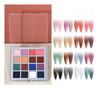 Gradient Rosa Nagelkonst Magisk Spegelpulver - 16 färger A
