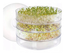 Groddboxar 3-pack