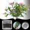2 st Spiral Ikebana stjälkhållare, DIY blomstjälkhållare, bukettvridare för blomsterarrangemang, buketthållare blomsterarrangör verktygsformare