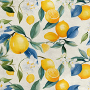 Kungligt sammetstyg i polyester för sömnad - Motiv citroner - RDX3045
