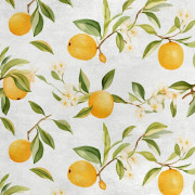 Kungligt sammetstyg i polyester för sömnad - Motiv citroner - RDX2610