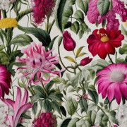 UTOMHUSDEKORATIVA TYGER OXFORD - Motivblommor I DX5450