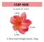 6 st Hårspännen med Blommor, Hawaiianskt Blomspänne Underbar Gåva, Starka Hårspännen för Kvinnor med Tjockt Hår