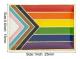 5-pack Progress Pride nål broscher flagga märke brosch märken (Progress Pride)