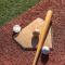 Hård Läder Baseball för Sportträning, Träningsboll och Matchboll, Vuxna för Inomhus- och Utomhusbruk