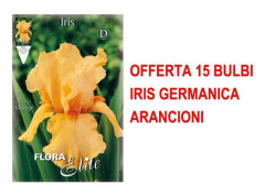 ERBJUDANDE 15 IRIS GERMANICA APORANGE KANDBULBVAROR BULBES