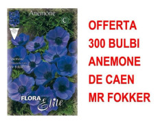 ERBJUDANDE 300 ANEMONKORNNINGAR MR. FOKKER GLÖDLAMPOR BULBES