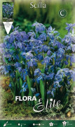 HÖSTBULB LÄNGD SCILLA SIBERICA FÖRPACKNING MED 15 BULAR