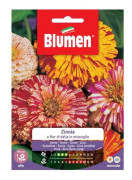 SEMI ZINNIA OCH DALIA I BLANDNING BLUMEN