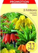 HÖSTLÖKAR FRITILLARIA IMPERIALIS MIX FÖRPACKNING MED 3 LÖKAR
