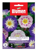 SEMI KONVOLVOLO MIX BLUMEN