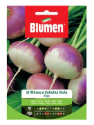 RAPA MILANO COLLETTO VIOLA BLUMEN BLUMEN