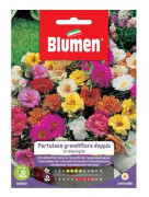 SEMIPORTULACKA GRANDIFLORA DUBBLA BLOMMOR FRÖN BLOMMAR