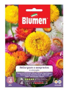 SEMI HELICRYSUM BLANDNING BLOMMOR