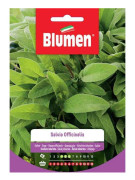 SEMI SALVIA OFFICINALIS BLUMEN SEMENTI