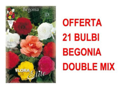 ERBJUDANDE 21 VÅR-LÖKAR AV BEGONIA DOUBLE MIX LÖKAR BLOMMAR