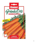 SEMI CAROTA PRECOCE NANTESE MAXI ORTO BLUMEN