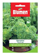 SEMI CIMA DI RAPA QUARANTINA BLUMEN SÄDIR ORT