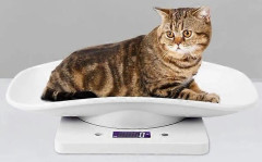 Digital Small Animal Scale for Precise Measurement