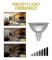 MR16 Spotlightslampa 12V 20W Glödlampa GU5.3 Dimbar 2-stift Halogenlampor Varmvit 2700K 12-pack (mr16-20w-12p) [xh]