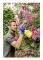 Gloria Haus und Garten 000860.0000 Hobby 10 FLEX Tryckspruta 1 l