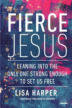 Fierce Jesus (häftad, eng)