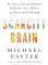 Scarcity Brain