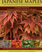 Japanese Maples (inbunden, eng)